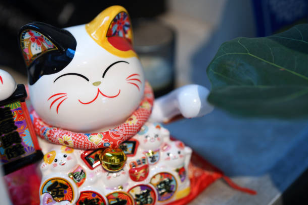 Special Animals Decorations